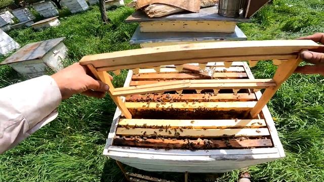 ||ДЕНЬ 427|| Паспорт пасеки. 100 семей - 1000 гривен. Холодильник для беженцев. Ревизия у соседа. смотреть онлайн