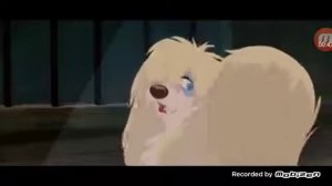 Леди и Бродяга песня Пек о Бродяге