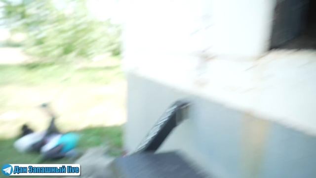 НИЧЕГО НЕОБЫЧНОГО! Просто ШИМПАНЗЕ гуляет в лесах ОРЕНБУРГА | Наводим порядок в автофургоне смотреть онлайн