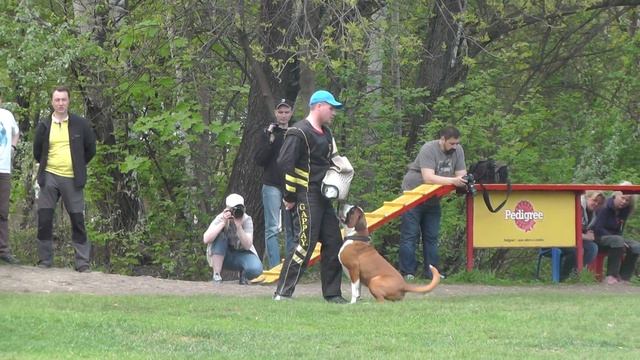 Кубок Москвы 2016 г. по ОКД и ЗКС (камера 2).