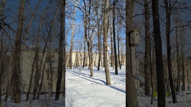 Весна 7 марта