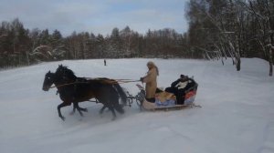 Катание на санях зимой // Русская тройка // fpv пролеты