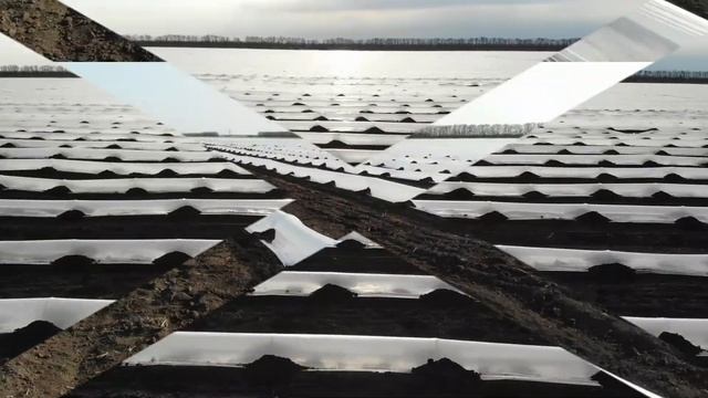 ООО "АгроКультура". смотреть онлайн