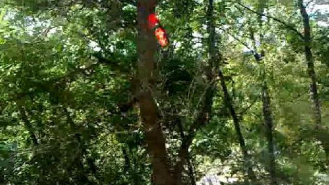 военная сирена