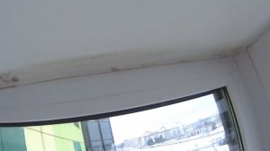 Как избавится от плесени на балконе, самый простой способ убрать плесень.