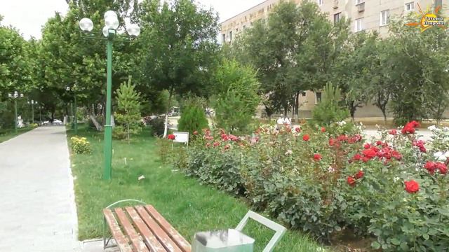 Аллея. Шымкент.17 микрорайон смотреть онлайн