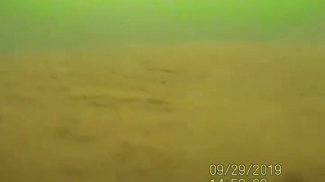 Я вам покажу, где раки зимуют :) смотреть онлайн