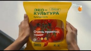 Анонсы, рекламный блок, промо и СоР (Сарафан, 10.08.2023)