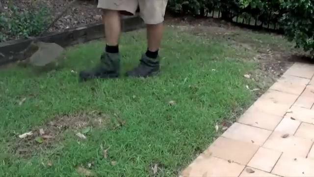 HOW TO MOW LAWN USING WEED WACKER/Whipper Snipper смотреть онлайн