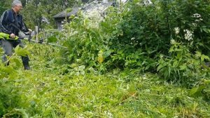 Мощный электротриммер "Greenworks 1200W", убираем репейники