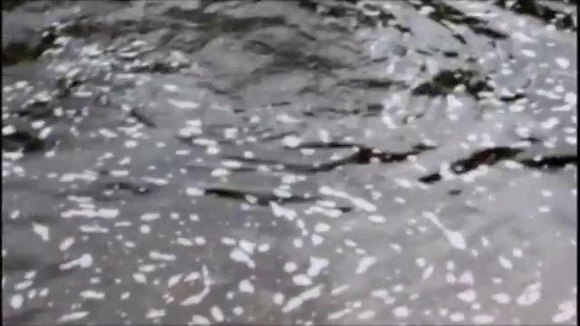 Зева 2011v1 смотреть онлайн