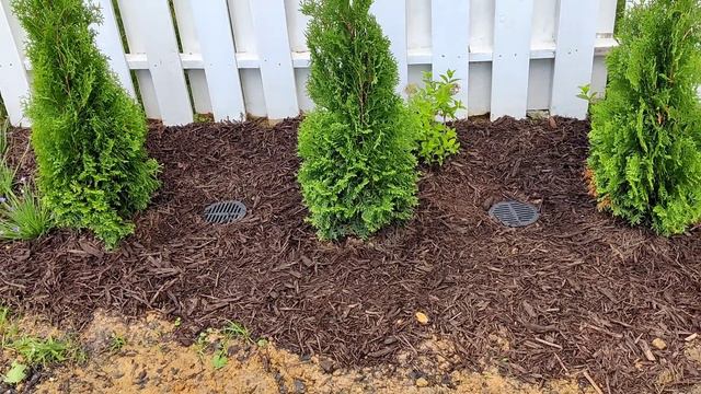 3 More Backyard Garden Projects| Zone 7b| Kreatyve Gardenista смотреть онлайн