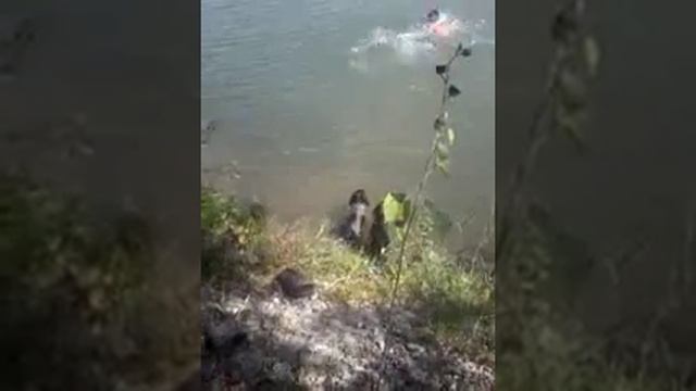 Русский спанель Али Исмаилов 87025848339 смотреть онлайн