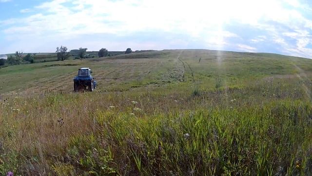 Сенокос 2018 продолжается! Трактор мТз + КРР-1.85! смотреть онлайн