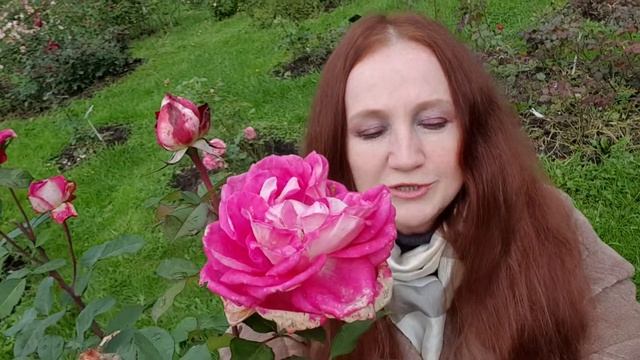 Весенняя иллюзия смотреть онлайн