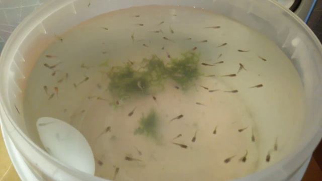 Просто офигел, когда увидел такое! смотреть онлайн