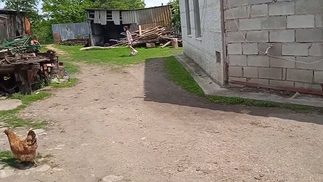 Света нет рыбалка идёт! смотреть онлайн