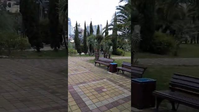 31 декабря 2017 года. Подготовка пальм к холодам в Сочи#сочи#морпорт#пальмы#зимасочи# смотреть онлайн