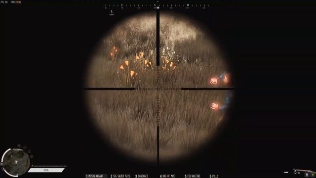 Infestation The New Z - Тестим MOSIN NAGANT и SIG SAUER P226 смотреть онлайн