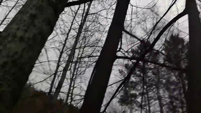 Заповедник "Столбы" г.Красноярск - Белочка смотреть онлайн