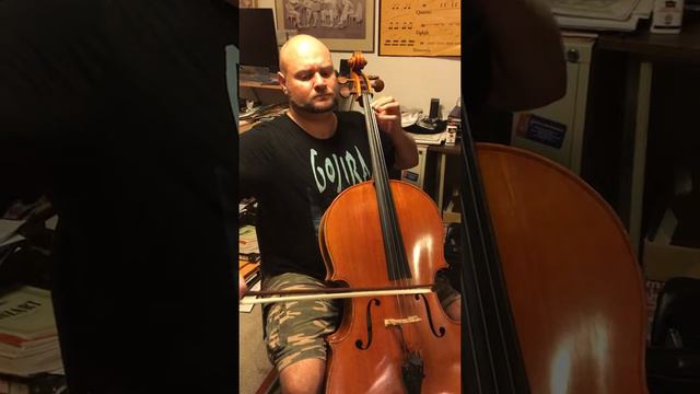"Final Countdown" Cello part смотреть онлайн