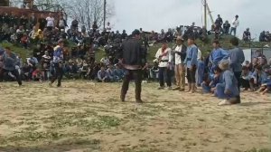 Гуштини калон дар шахри Турсунзода дехаи Бештеппа Наврузи 2023