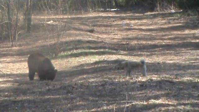 Лютый командные состязания Чайковский 2011 смотреть онлайн