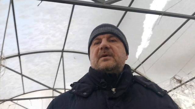 Без этого стимулятора роста семена не взойдут совсем! Как сеять семена перцев и помидоров правильно смотреть онлайн