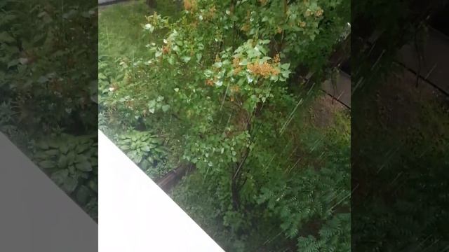 Шум дождя и ветра. шум листьев от ветра смотреть онлайн