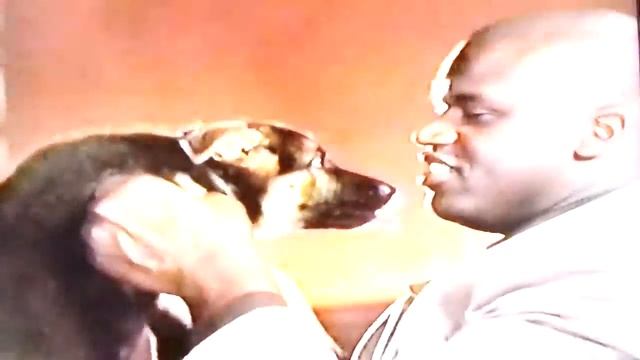 TNT (NBA All Star 2004 LA) Commercial Break February 2004 (feat The VHS Museum #4 смотреть онлайн