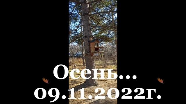 С добрым утром, друзья! 09.11.2022г. ??? Хорошей СРЕДЫ и хорошего настроения! ??? смотреть онлайн