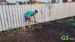 Как правильно посеять газон.