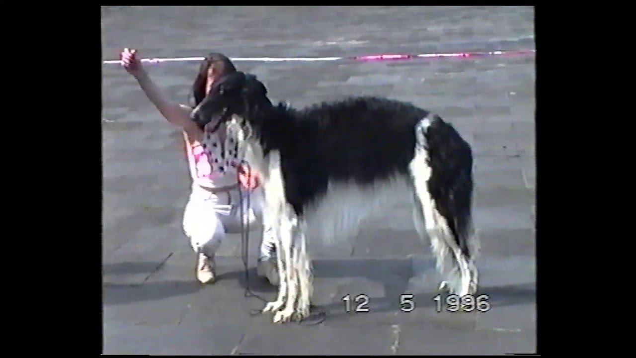 Выставка "Москва Майская",стадион Автомобилист (2).12 мая 1996 года смотреть онлайн