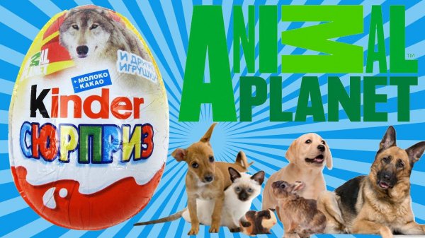 Киндер сюрприз распаковка animal planet МанкитуИгры#32