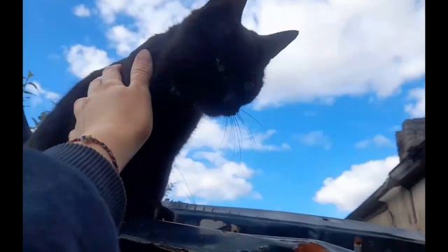 Школа Жизни ( Иследуем Местность) смотреть онлайн