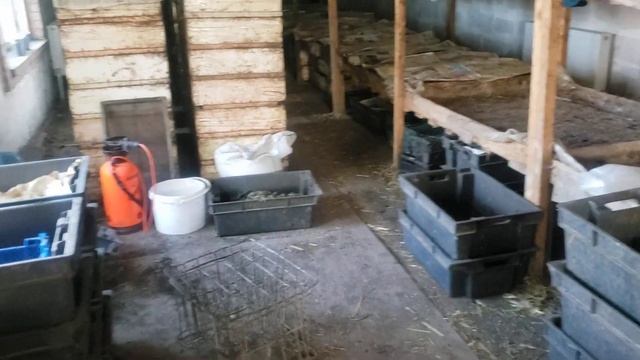 Подкормил кальциевой селитрой свои растения. смотреть онлайн