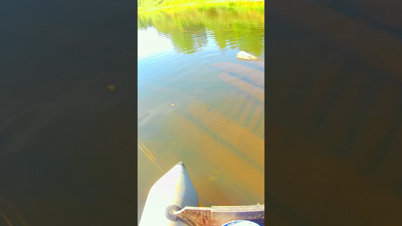 ✔ ЭТО МЕСТО просто РАЙ ДЛЯ РЫБАКОВ #shorts смотреть онлайн