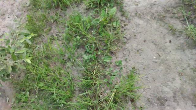 Из Москвы в Рязань на моноколесе за 1 день 300+км смотреть онлайн