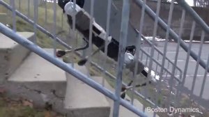 Истории роботов из BostonDynamics  много мата