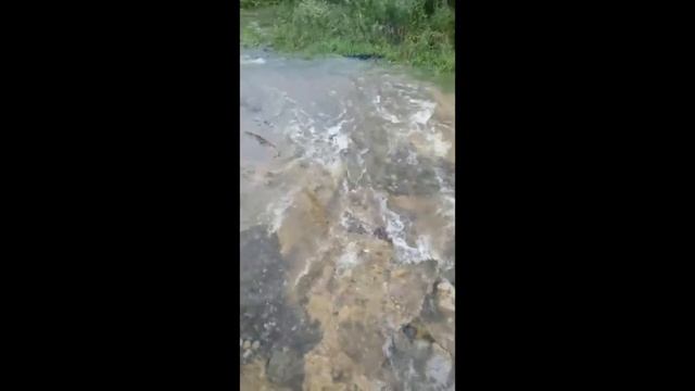 Тайфун Лайонрок уже в домах Уссурийск на улице Ивасика потоп смотреть онлайн