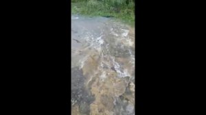 Тайфун Лайонрок уже в домах Уссурийск на улице Ивасика потоп