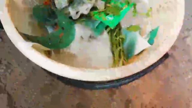 Суперсредство от тли на деревьях и кустарниках смотреть онлайн