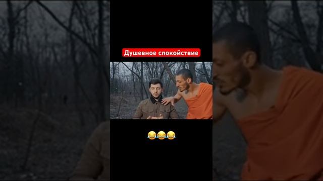 Обрети душевное спокойствие ️ @дагестан @юмор_l??? смотреть онлайн