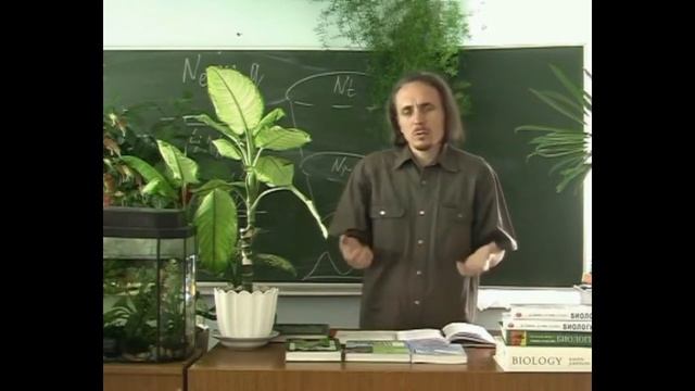 Рудименты, атавизмы, биогенетический закон (эмбрионы Геккеля)