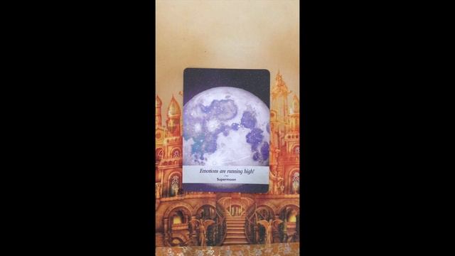 Oracle Message ~ Thursday 12 January, 2023 смотреть онлайн