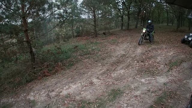 лесные покатушки смотреть онлайн