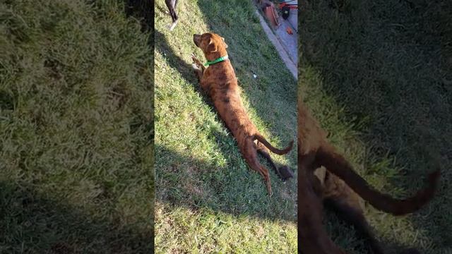 26 de diciembre de 2021 смотреть онлайн