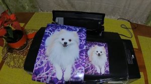 Epson L805 принтер. Обзор. Настройка печати по Wi FI без компьютера