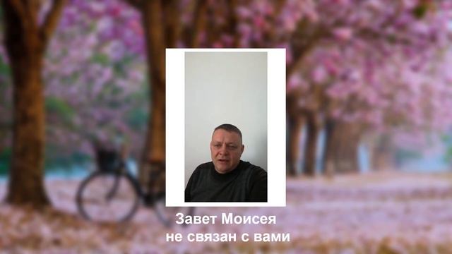 Завет Моисея не связан с вами смотреть онлайн