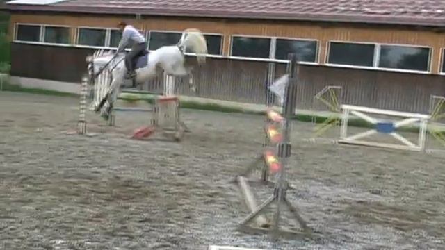 7 years Cornet Obolensky mare смотреть онлайн